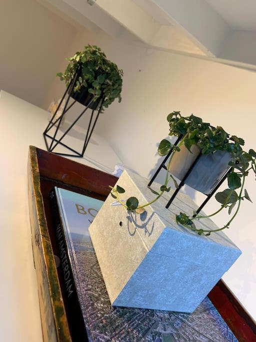 阿斯米尔 Quiet Waterloft Near Amsterdam And Schiphol Ws17酒店 外观 照片